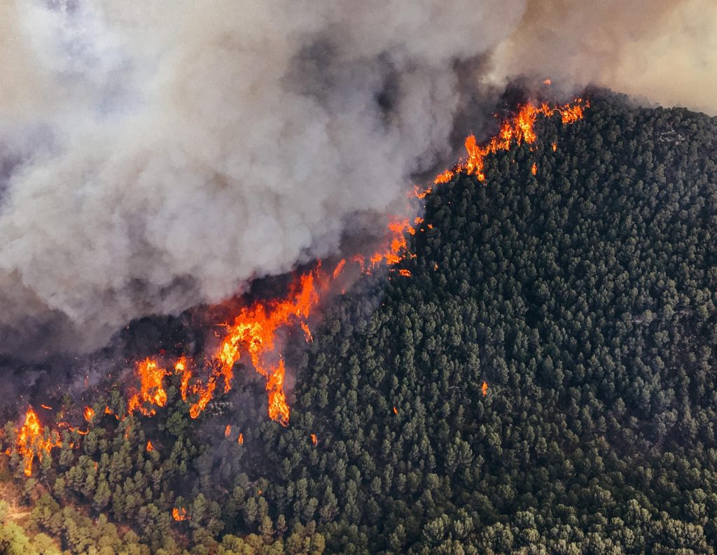 incendios forestales