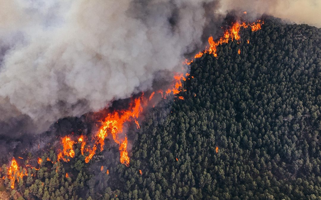 Riesgo de inundaciones post-incendio: una amenaza oculta para el territorio